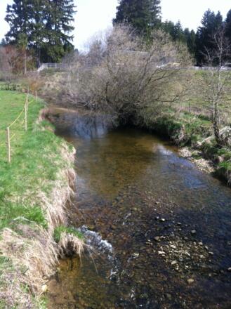 Der Aubach in Steingaden