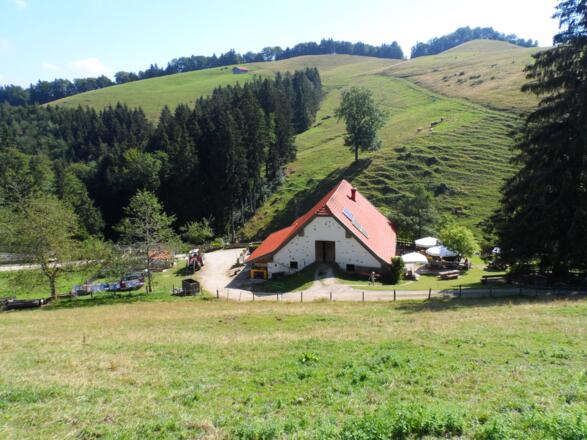 Die Hefter-Alm von oben gesehen