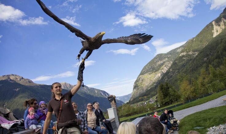 Greifvogelpark Umhausen