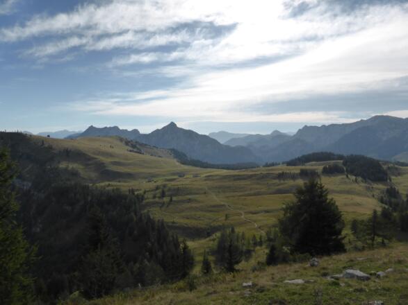 Der Weg von den Wiesleralmen herüber