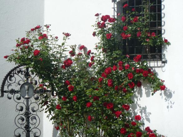 Marquartsteiner Kirche