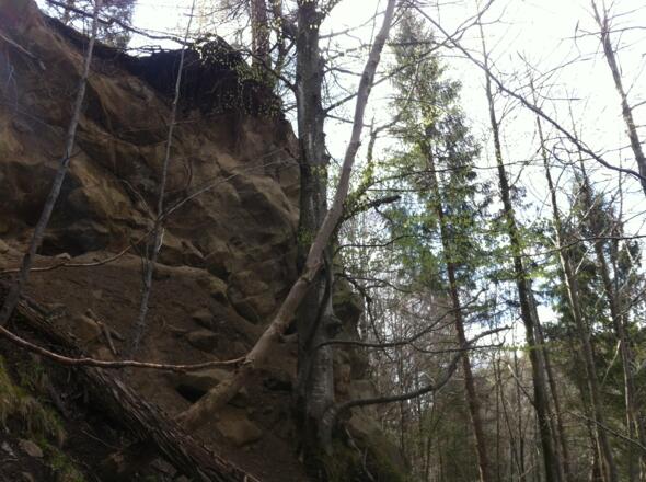 Große Felsen säumen den Weg der Ammerschlucht