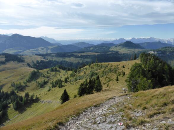 Die Weite des Postalmgebiets kommt am Wieslerhorn gut zur Geltung