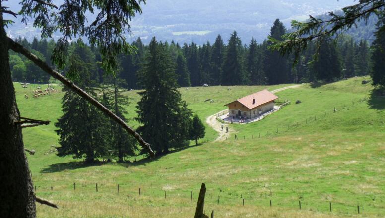 Die Naderbauern-Alm vom Großstaffen aus gesehen