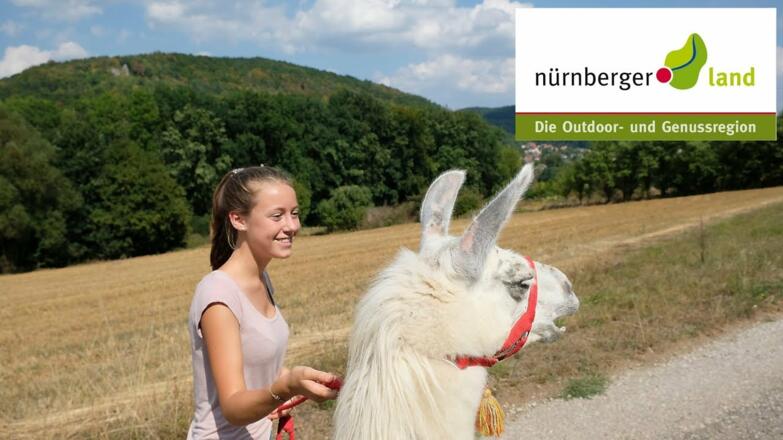 Lama Trekking im Nürnberger Land