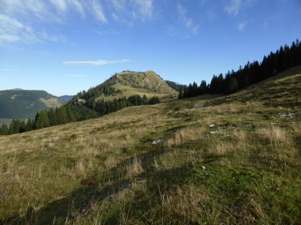 Abkürzung zum Wieslerhorn