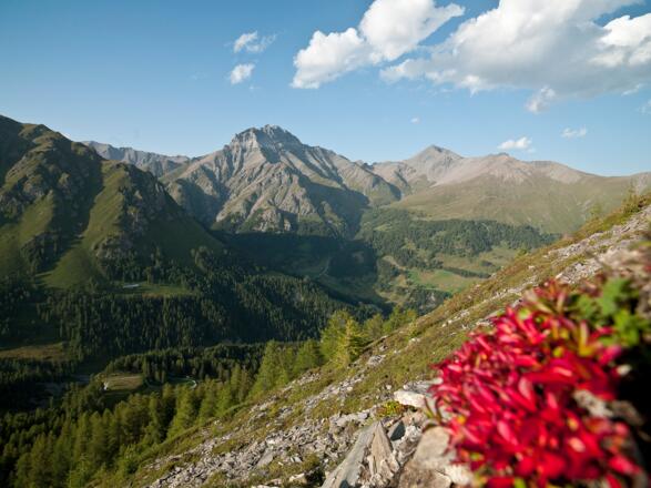 Blick ins Val Sinestra über Zuort