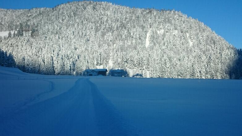 Auloipe 1 mit Blick auf den Flichtelhofberg