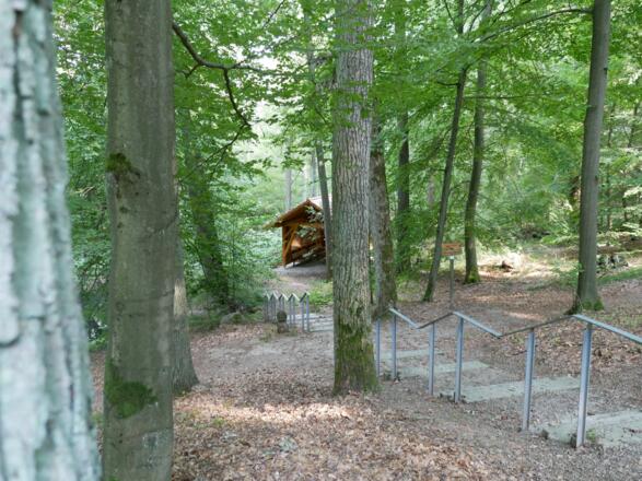 Der Wald von Köllergrün