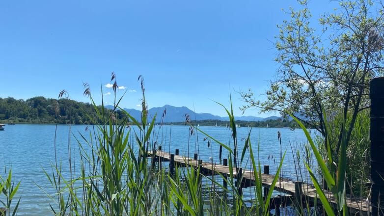 Blick am Chiemsee