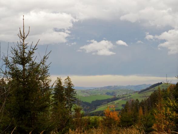 Ausblick auf die Basilika am Sonntagberg in der Ferne