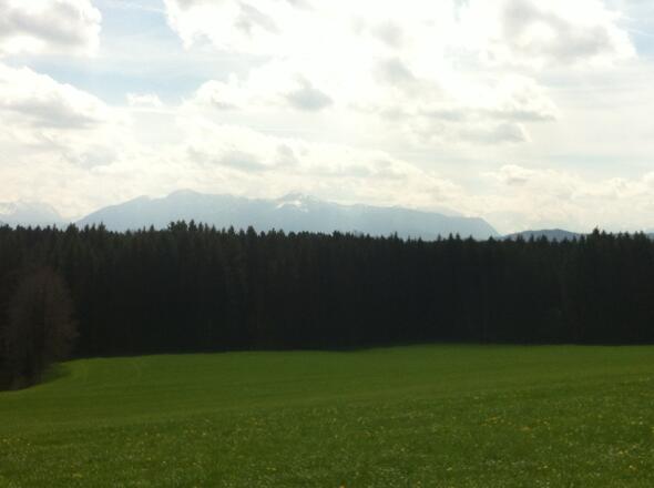 Hinter dem Waldgebiet erheben sich die Alpen majestätisch.