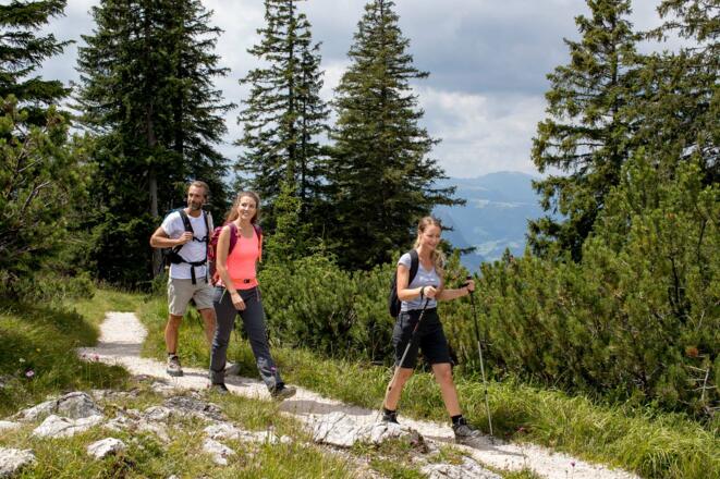 Entlang der Gipfel im Lattengebirge