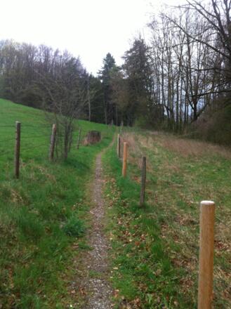 Ein Wiesenpfad bringt uns nach Schafbichl