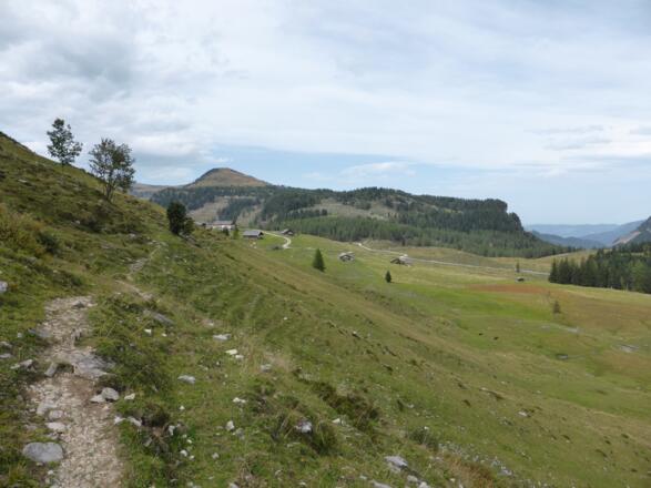 Querung nach der Labenbergalm, dahinter Pitscherberg
