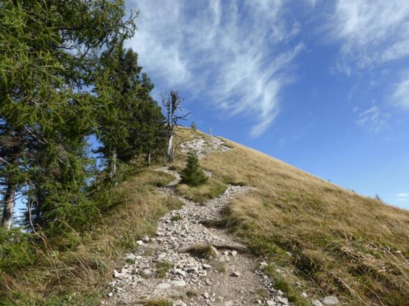 Der letzte Hang zum Wieslerhorn