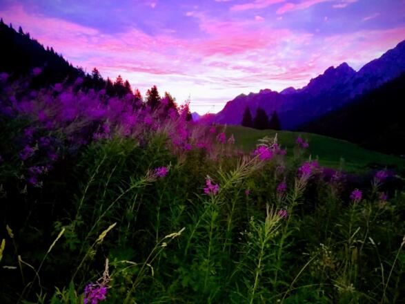 Morgenstimmung Alpe Brüggele