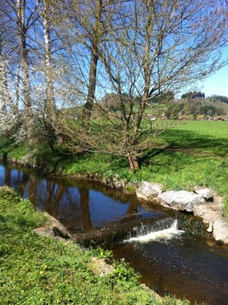 Die Peitnach in Peiting