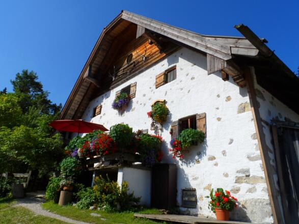 Die Hefter-Alm