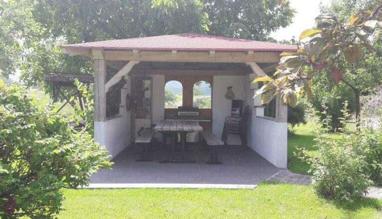 Wimmerhof Sonnenblumen