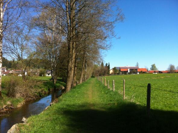 Idyllischer Wiesenpfad an der Peitnach entlang