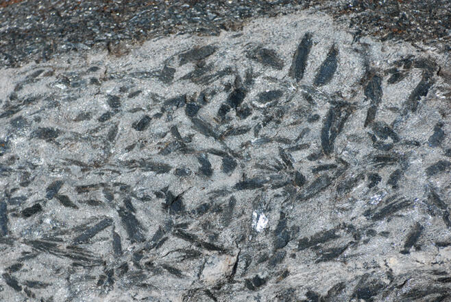 Hornblende