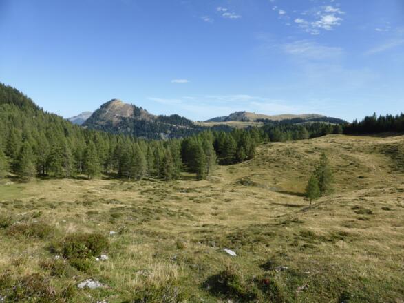 Wieslerhorn - Windkogel - Thorhöhe
