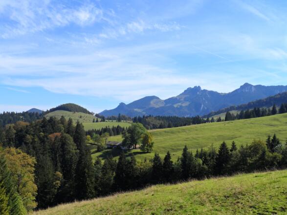 Blick von der Kräuterwiese zur Schmidalm und Kampenwand