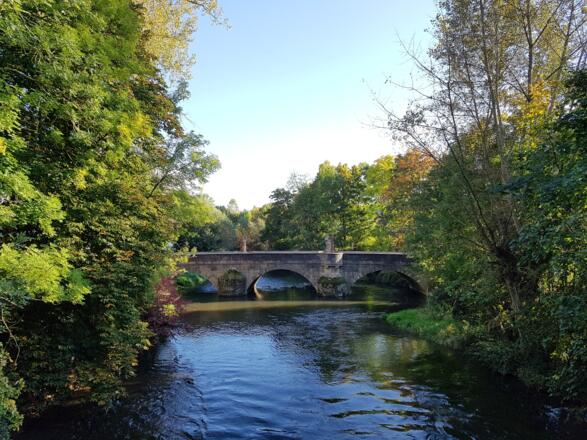 Die Tauber bei Lauda