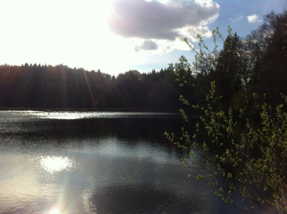Stadler Weiher im Sonnenuntergang