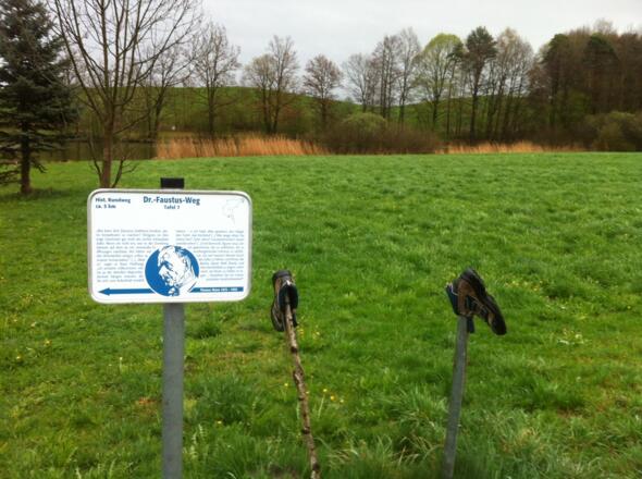 Informationstafel sieben am Streicherweiher