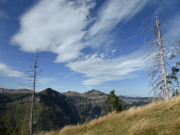 Abstieg vom Wieslerhorn
