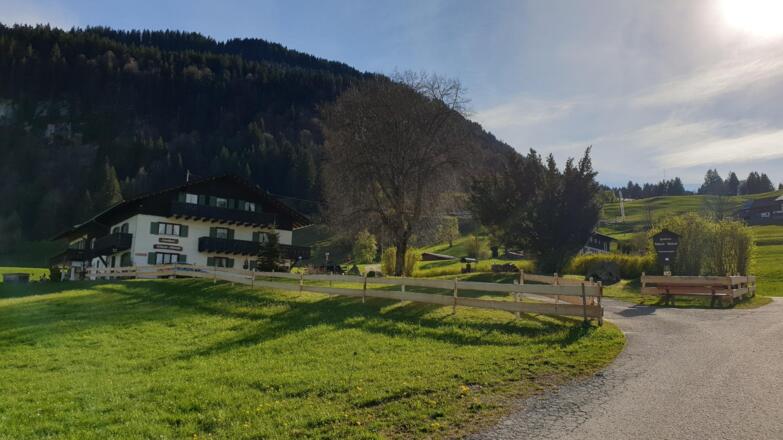 Letzte Sonnenstrahlen