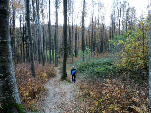 Auf dem Weg Richtung Schwarzenberg