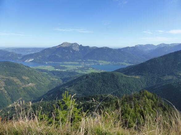 Schafberg - Wolfgangsee