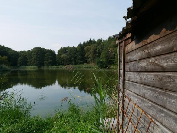 Fischteich als Teil der Kulturlandschaft Ebrachs