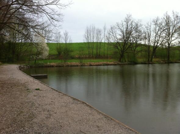 Weg entlang des Streicherweihers