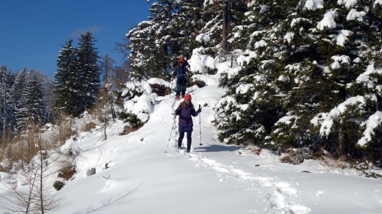 Schöner Gratübergang 1400m/1385m