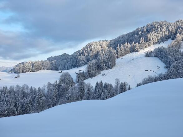 Aufstieg zum Eckbauer im Winter