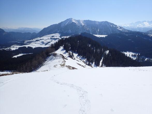 Labenberg, Aufstieg über den Gipfelhang