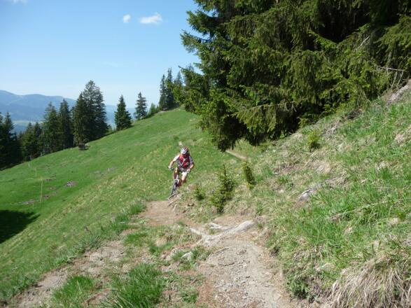 Radfahren in der Ferienregion Südliches Allgäu