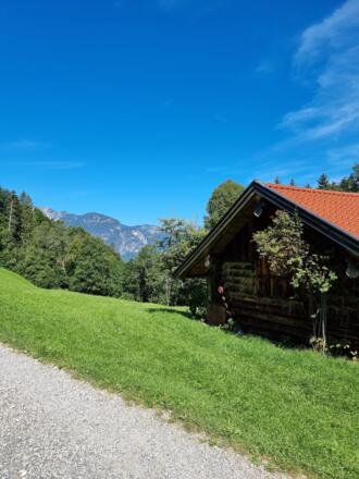 Aufstieg zum Eckbauer im Sommer