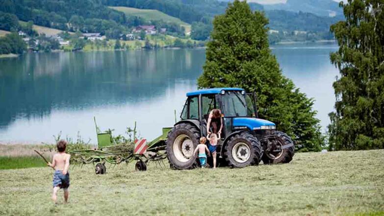 Landschaft