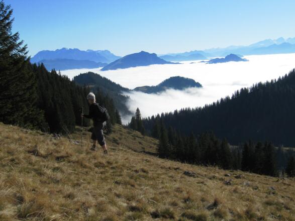 Weglos unterhalb der Mühlhornwand