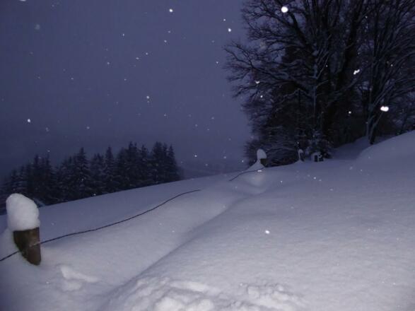 Am Bänkle mit Blick auf die Seepromenade