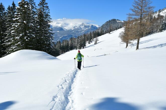 Von der Brandneralm unterwegs zur Hiasl Alm