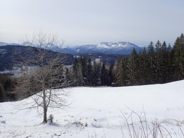 Ausblick Richtung Untersberg