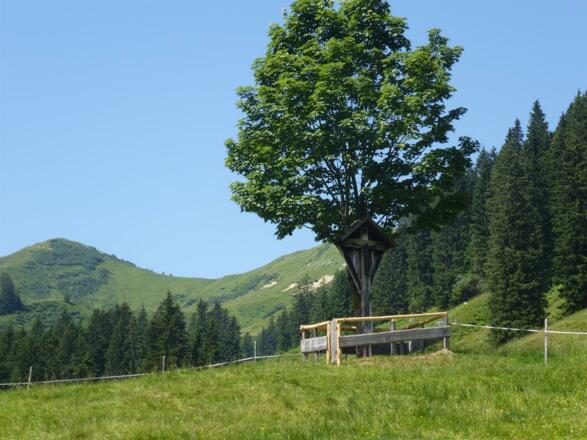 Blick zum Riedbergerhorn