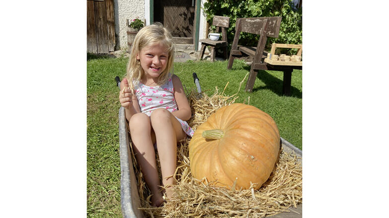 Herbst