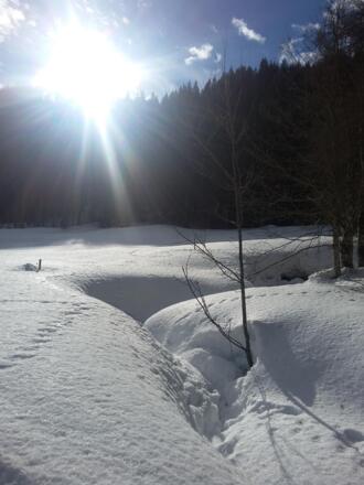 Langlaufloipe in der Umgebung